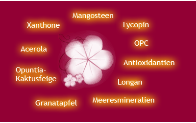 Mangosteen, Lycopin, Antioxidantien, Meeresmineralien, Granatapfel, Opuntio-Kaktusfeige, Vitamine, Xanthone